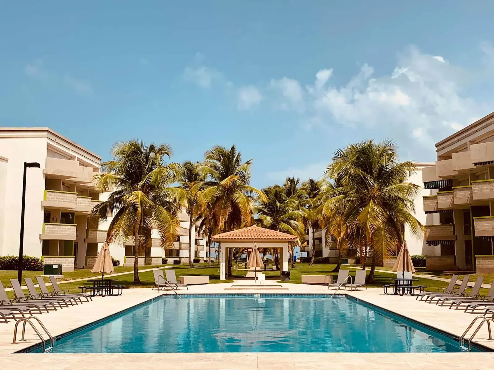 Pool and palms